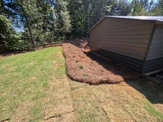Newly installed mulch landscape bed with curved edging adjacent to residential structure and restored lawn