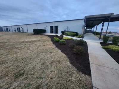 Curved mulch planting beds with shrubs and groundcover along concrete walkway at commercial property