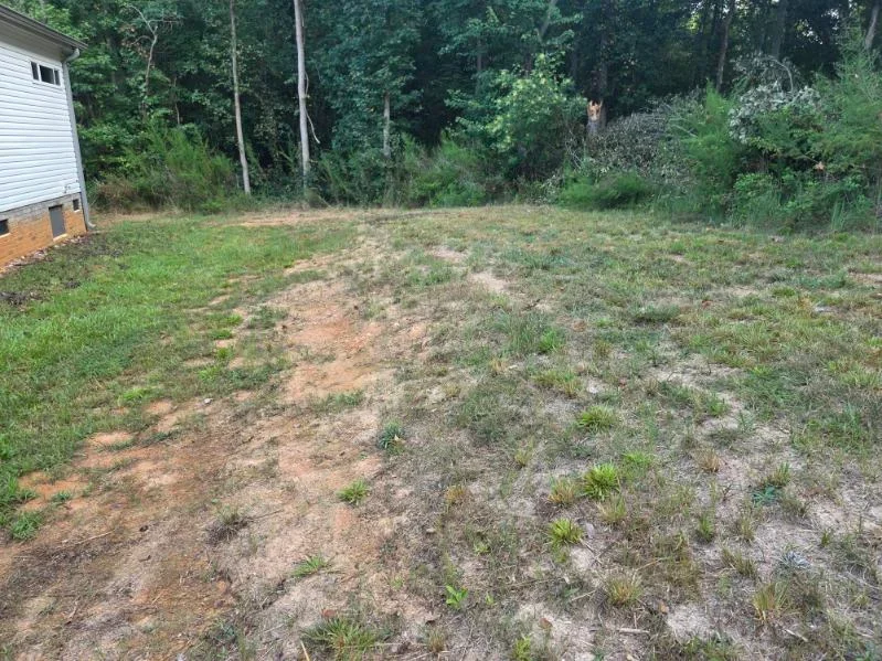 Bare yard with exposed soil and sparse grass, graded landscape with tree line in background