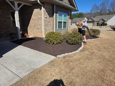 Dark mulch landscape bed with planted shrubs around residential home entry